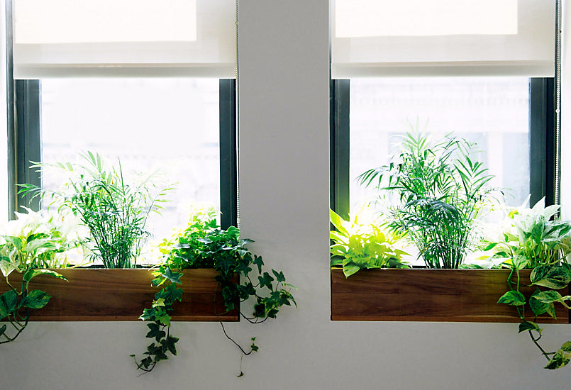 10 steps to make less waste